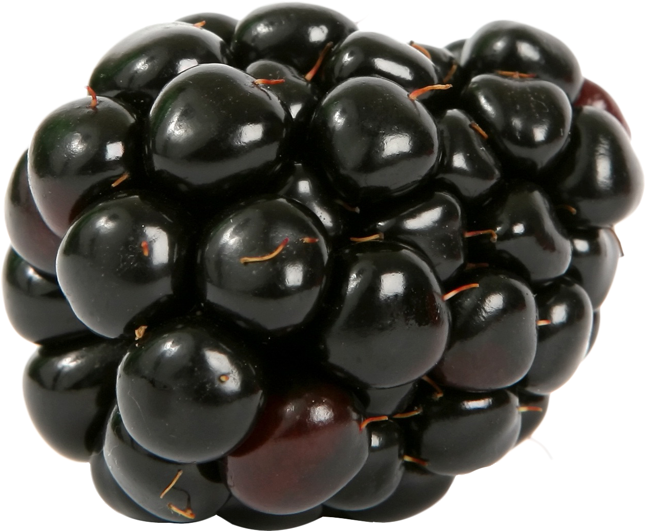 Blackberry Png - Single Blackberry Png Clipart (1336x1119), Png Download