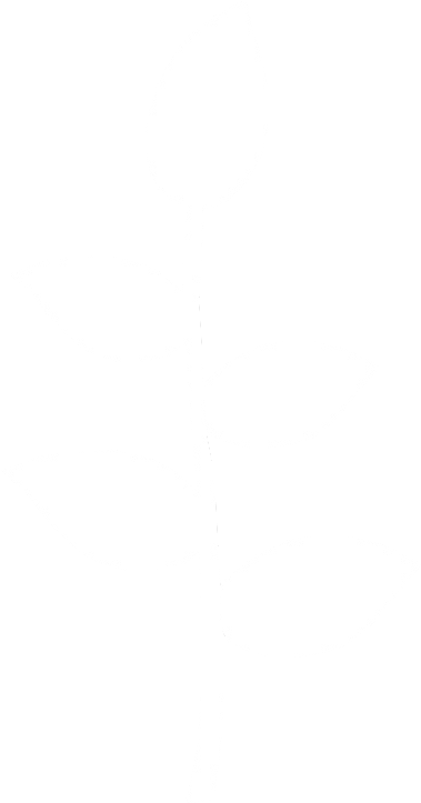 Arrangement Alternate - Paper Product Clipart (1181x1181), Png Download