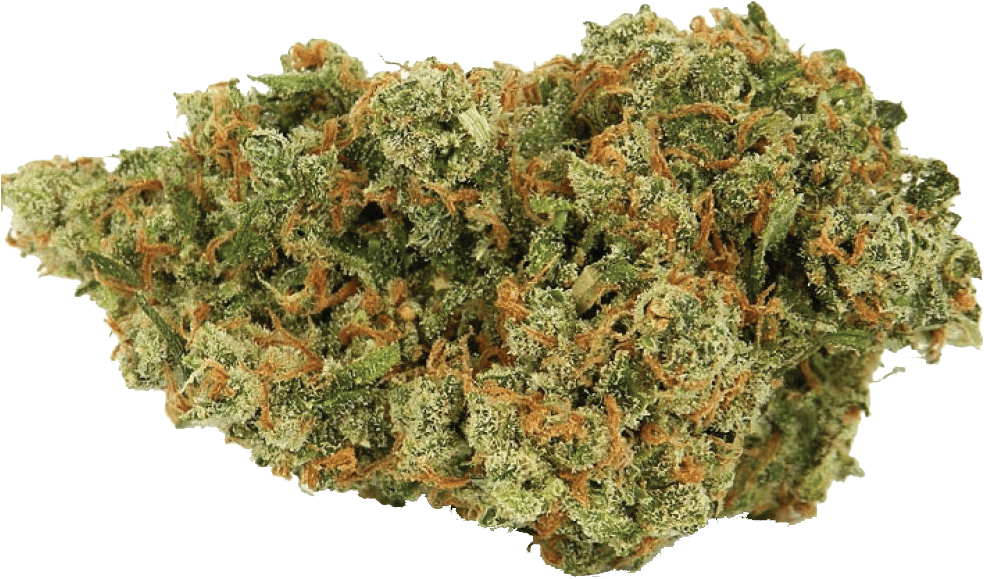Jack Herer Cannabis Nug - Sativa Strain Clipart (1000x657), Png Download