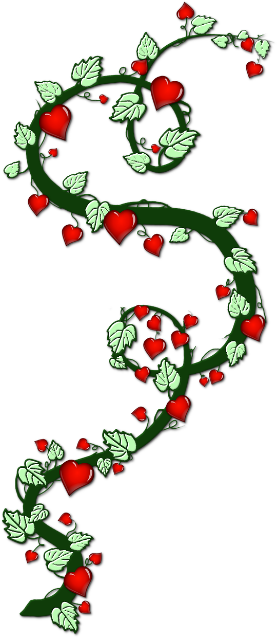 Heart Creeper Bush Love Symbol Png Image - Heart Symbol Pictures Videos Clipart (902x1280), Png Download