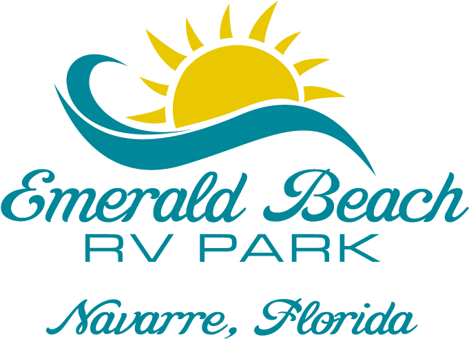 Vector Clipart (1000x681), Png Download