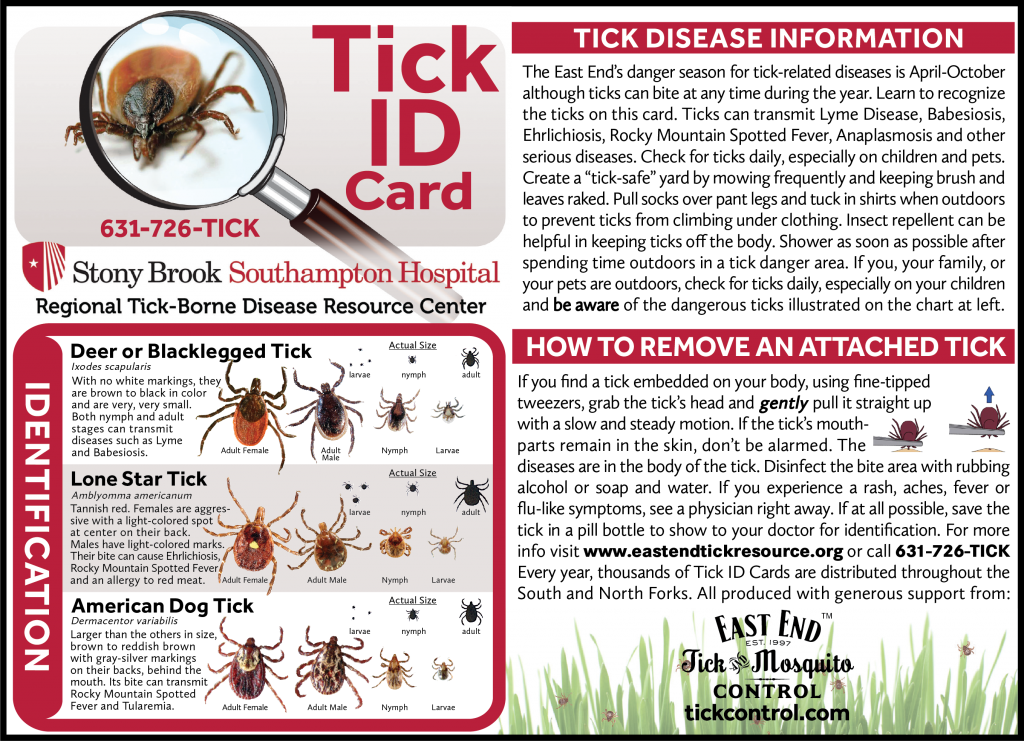 Tick Id Card Deer Tick Clipart Large Size Png Image PikPng