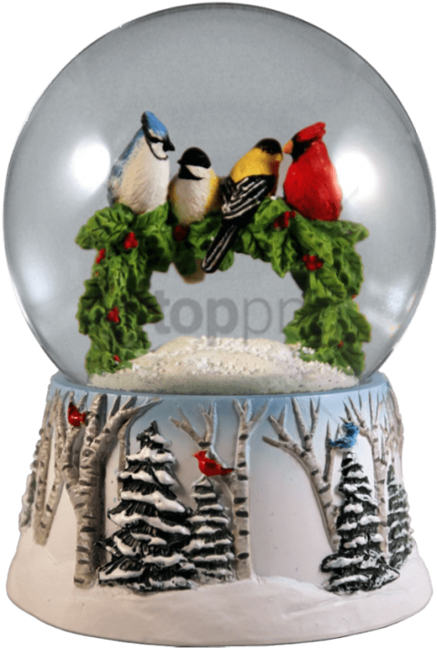 Free Png Download Multi Birds On A Wreath Water Globe - Multi Birds On A Wreath Water Globe San Francisco Music Clipart (480x712), Png Download