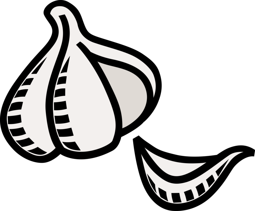 Png Free Clove Vector Image Illustration Of Edible - Dente De Alho Clipart Transparent Png (845x700), Png Download