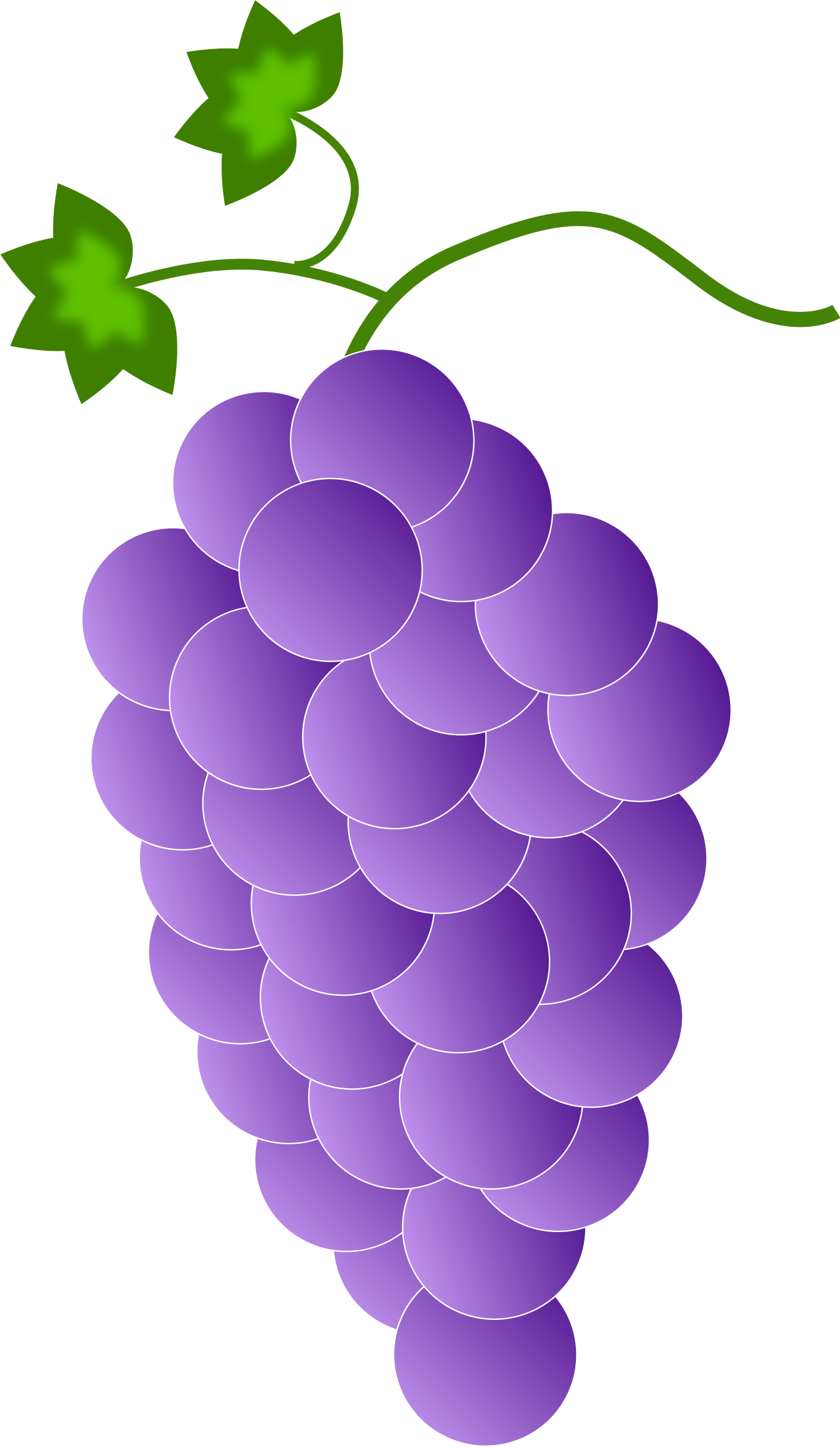 Black And White - Purple Grape's Clipart (1368x2356), Png Download