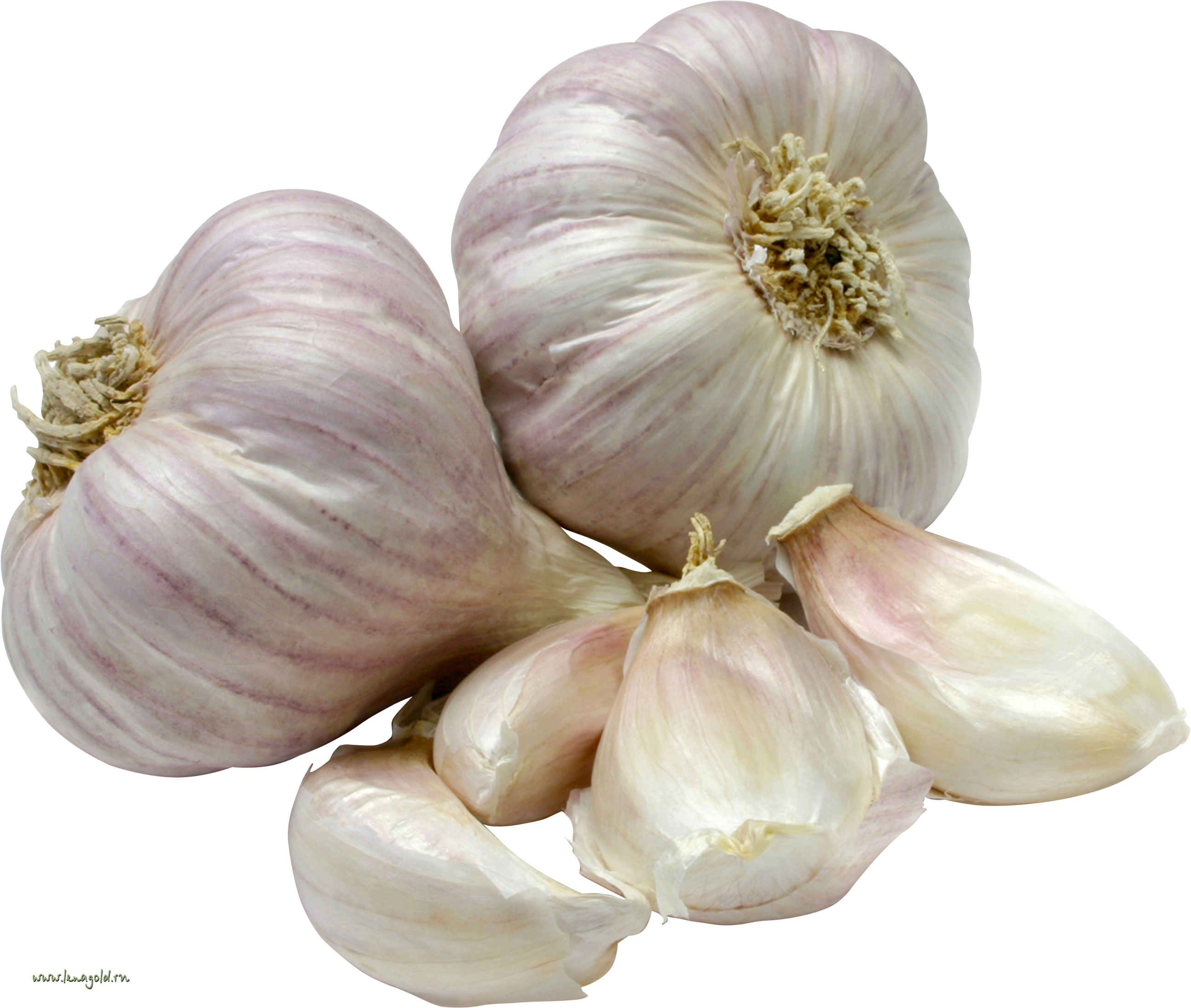 Garlic - Vegetables Garlic Clipart (2588x2190), Png Download