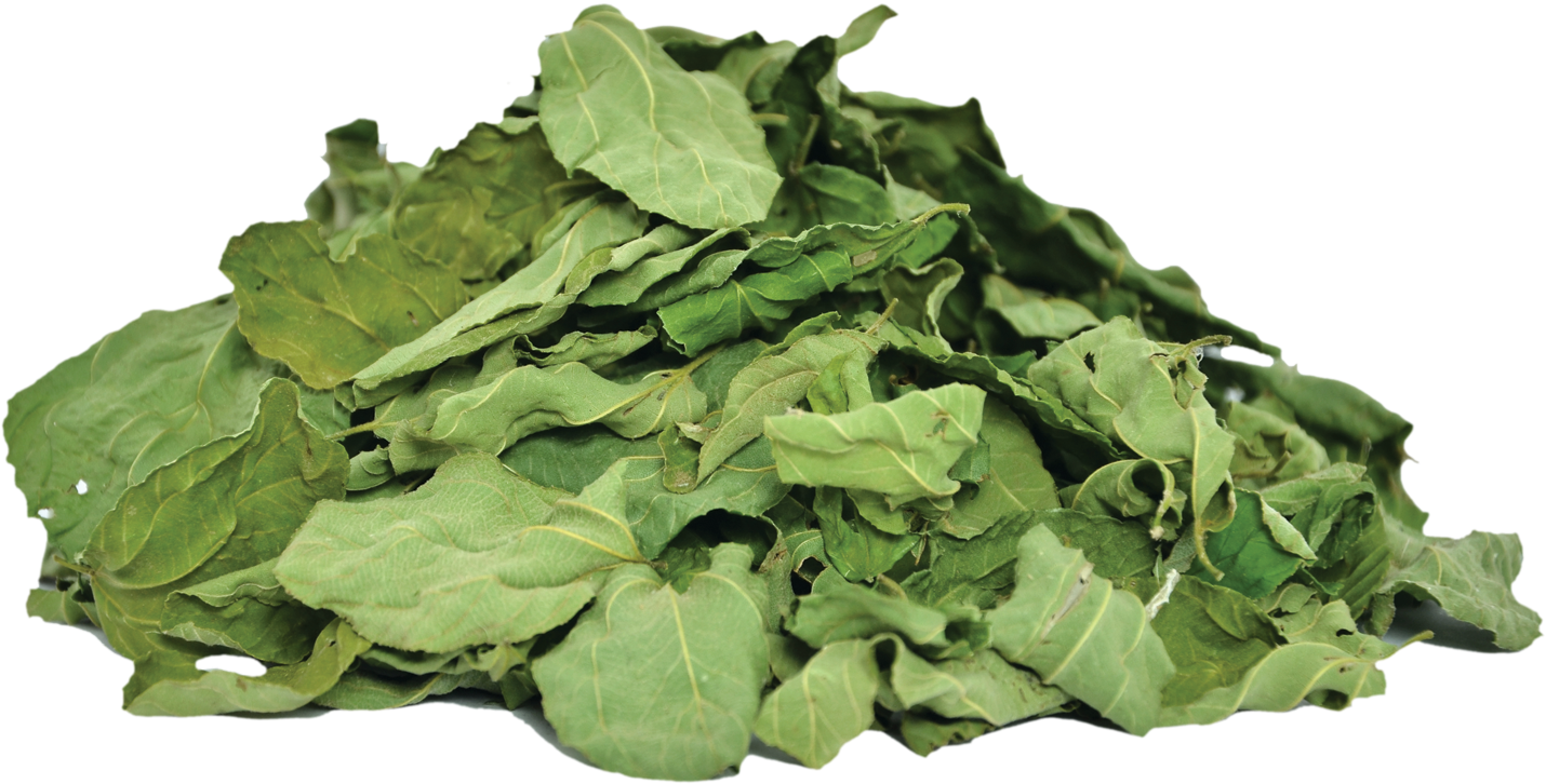 Herbs & Botanicals Ziziphus Spina Leaves - Spinach Clipart (1500x1000), Png Download