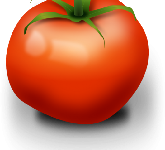 Vegetables Cliparts - Tomato Clip Art - Png Download (640x480), Png Download