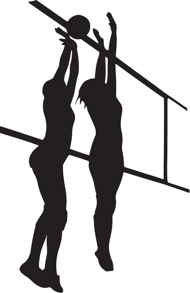 Silhouette Shadow Clip Art - Volleyball Shadow Png Transparent Png (730x1127), Png Download
