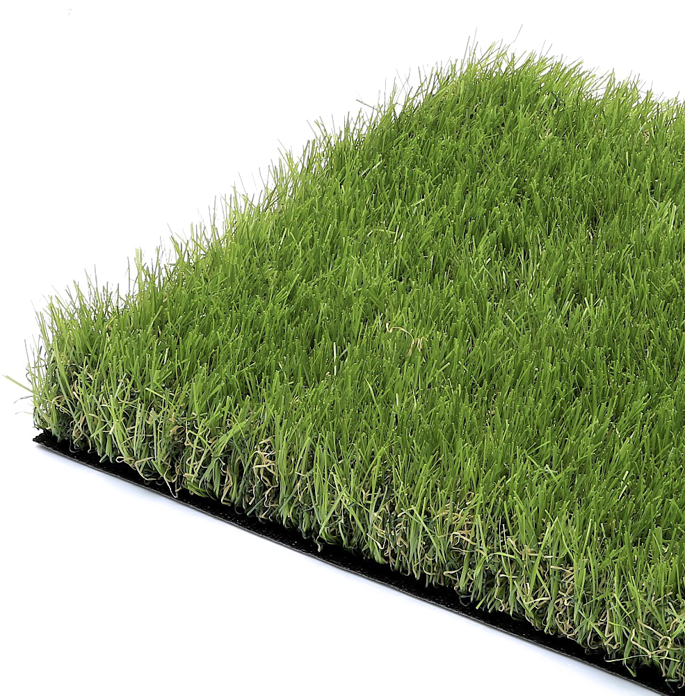Artificial Grasses Clipart (1000x1000), Png Download
