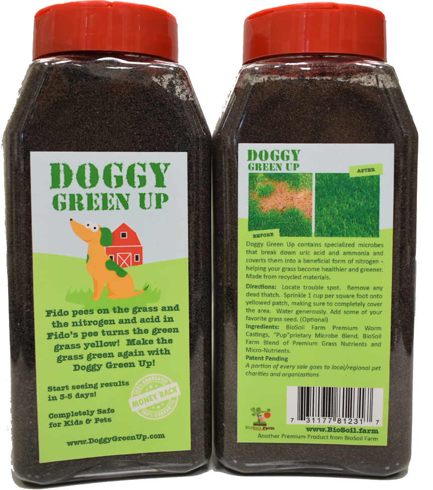 Buy Doggy Green Up At Local Retailers Or On Amazon - Reptile Clipart (862x976), Png Download