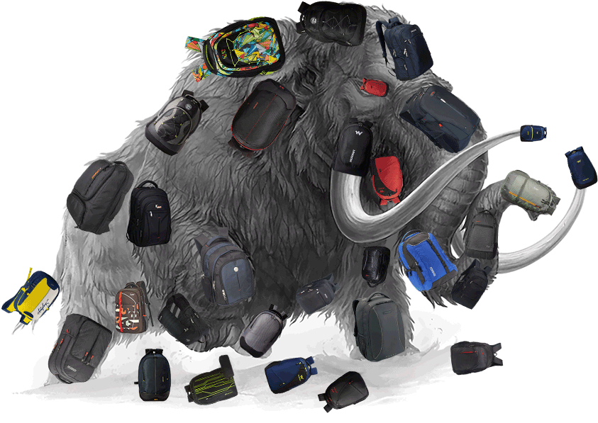 31 Best Waterproof Laptop Backpacks Under 2k In India - Boar Clipart (1080x720), Png Download