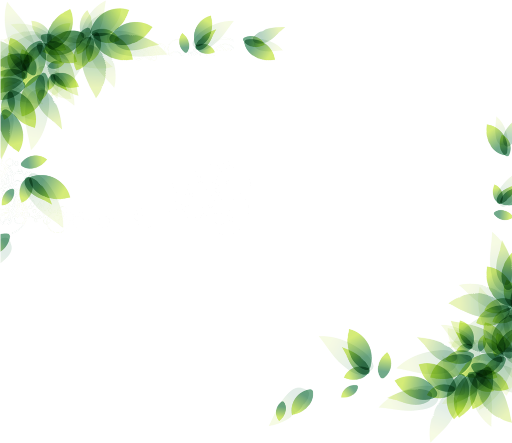 Flower Corner Border Png Clipart (1024x1024), Png Download