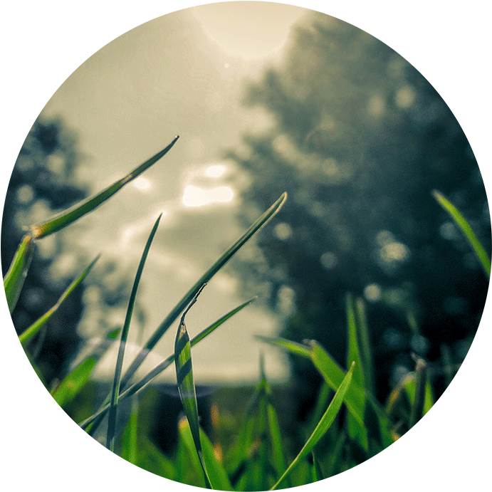 Water Check - Dalai Lama Wallpaper Quotes Clipart (690x720), Png Download