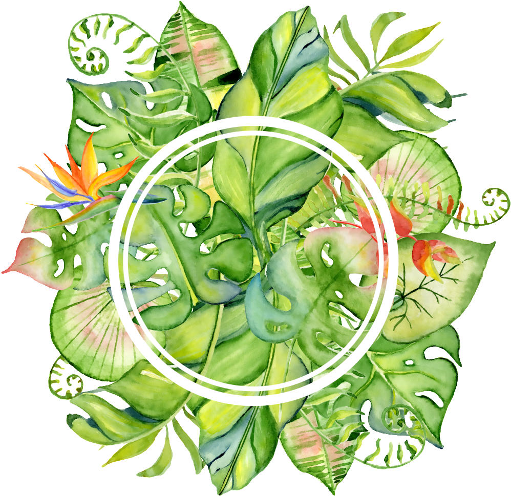 Hand Painted Bright Green Leaves Wall Png Transparent - Tropical Leaves Frame Png Clipart (998x969), Png Download