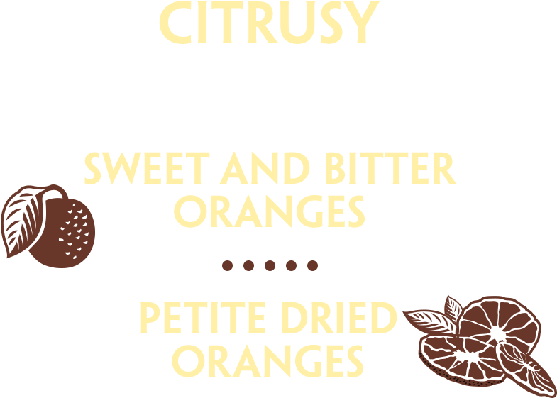 40 Botanicals - Chocolate Clipart (1440x866), Png Download