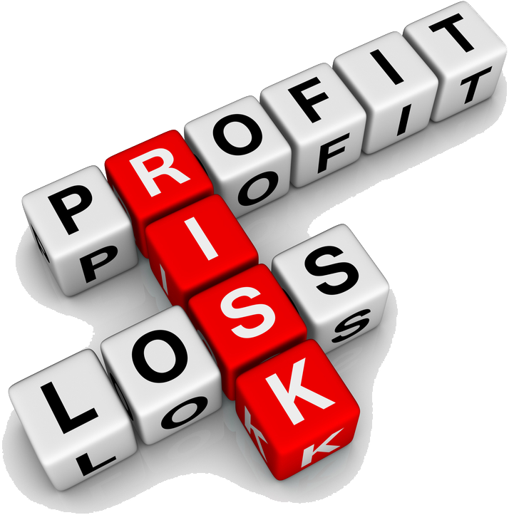 Insurance Png Photos - Profit Risk Loss Clipart (1000x933), Png Download