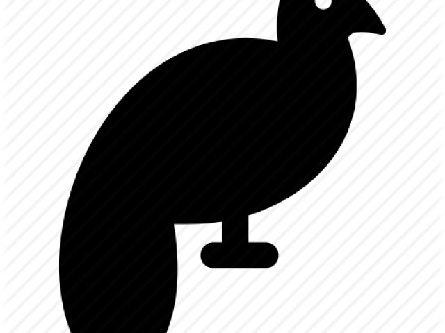 Peafowl Clipart Indian Peacock - Phasianidae - Png Download (640x480), Png Download