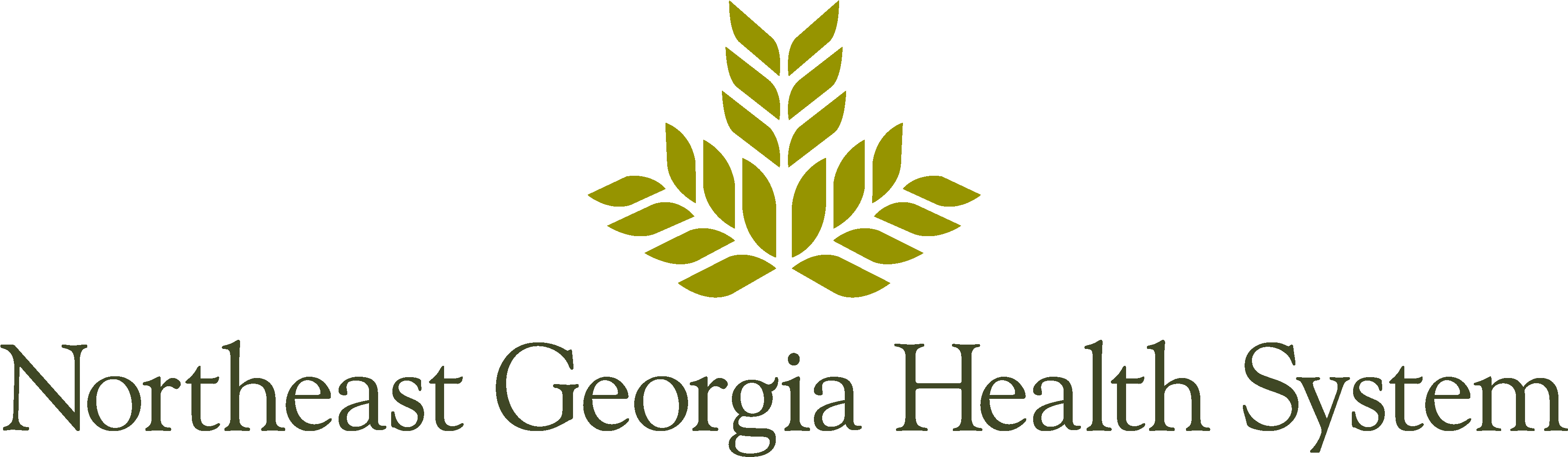 To Current Calendar - Northeast Georgia Medical Center Logo Clipart (4889x2226), Png Download