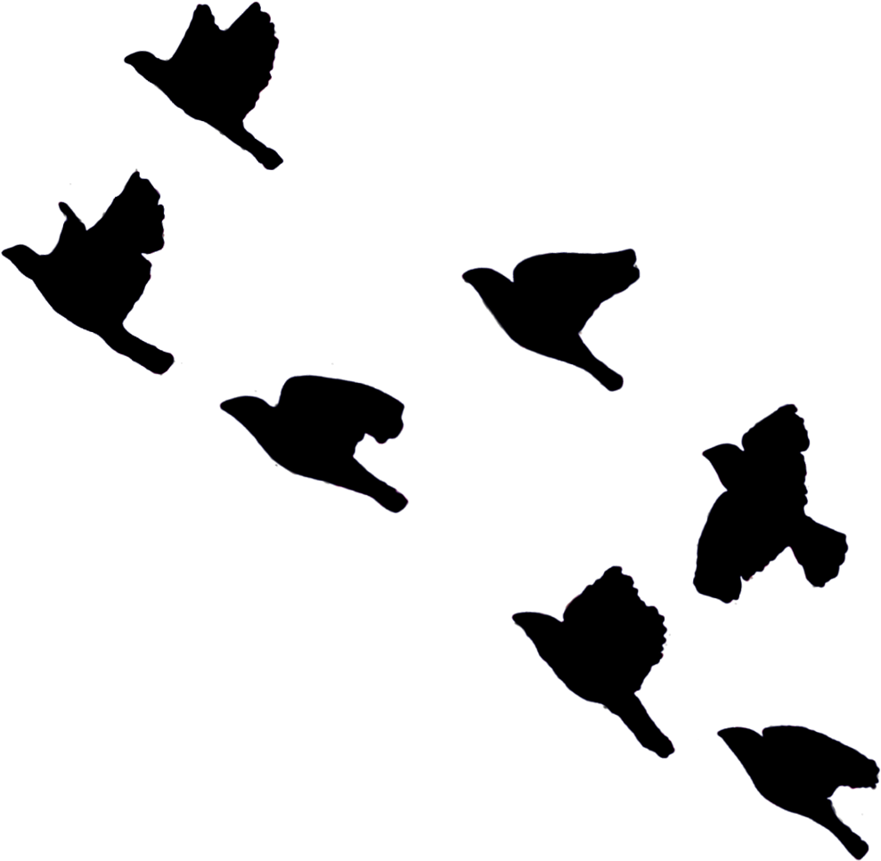 Silhouette , Png Download - Silhouette Clipart (989x967), Png Download