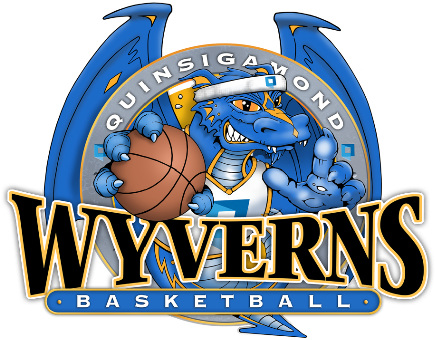 Basketball On Fire Pictures - Wyverns Basketball Logo Clipart (867x678), Png Download