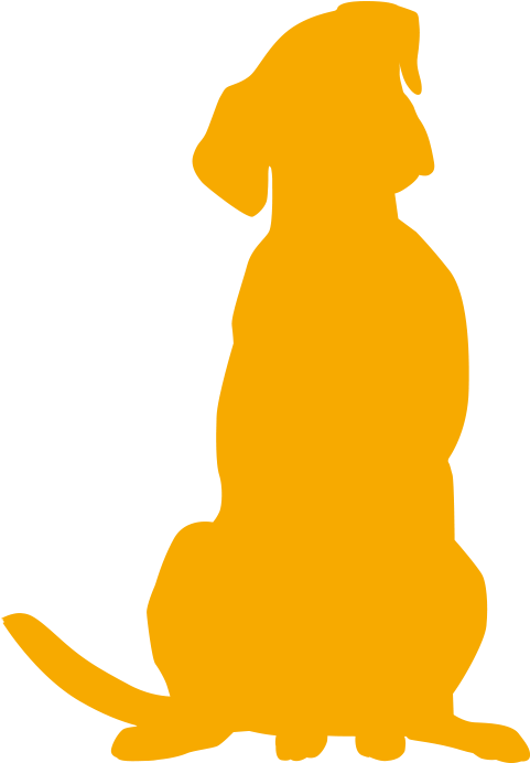Exercise And Diet Can Help Your Pet Stay A Clipart (768x703), Png Download