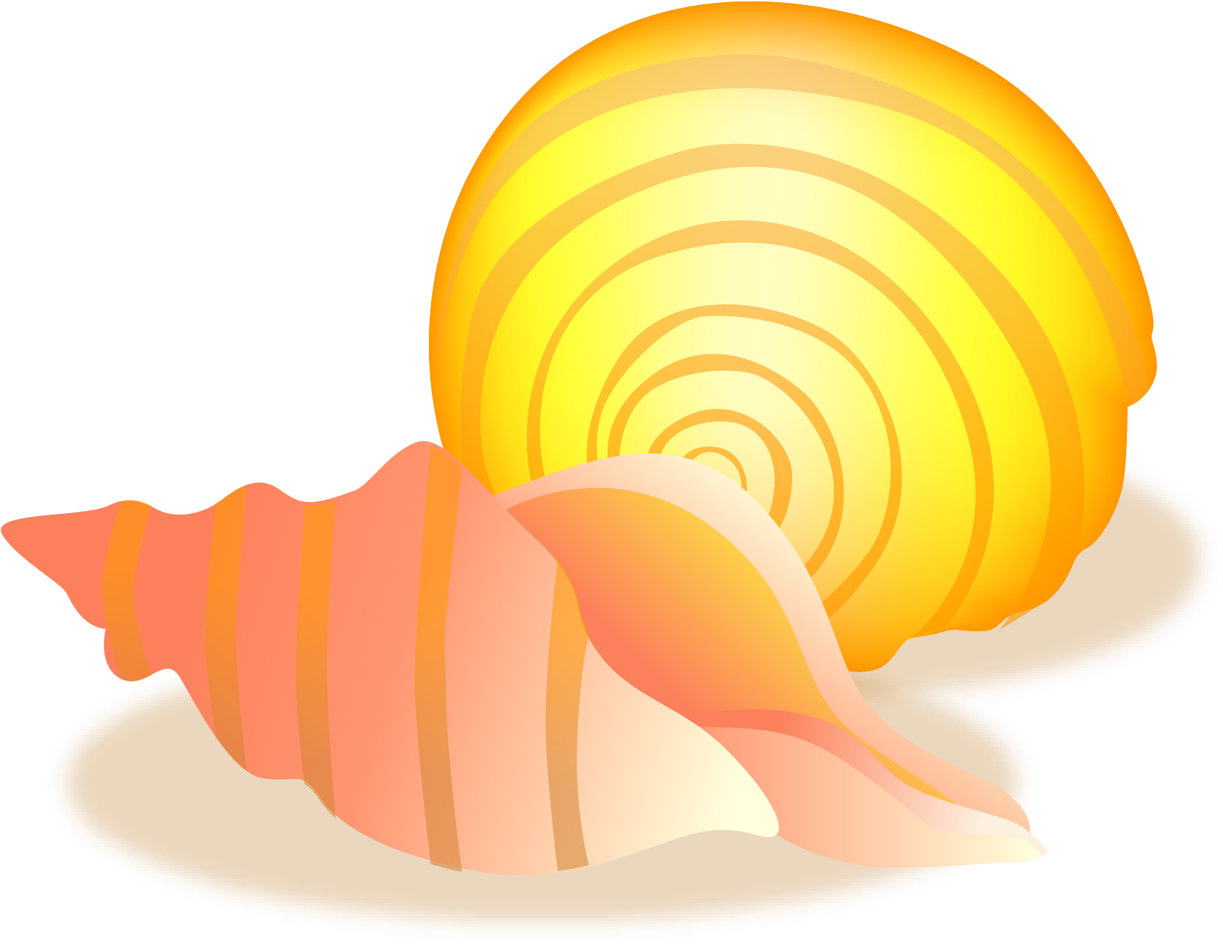 Conch Sea Snail Vector Material - Shell Clipart (2081x1706), Png Download