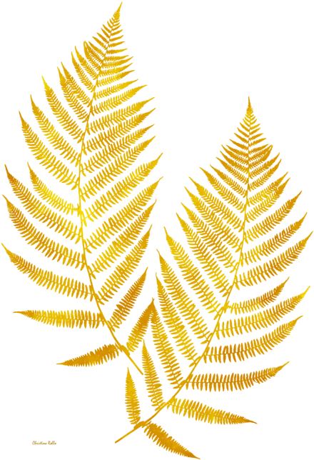 Click And Drag To Re-position The Image, If Desired - Gold Fern Transparent Clipart (466x700), Png Download