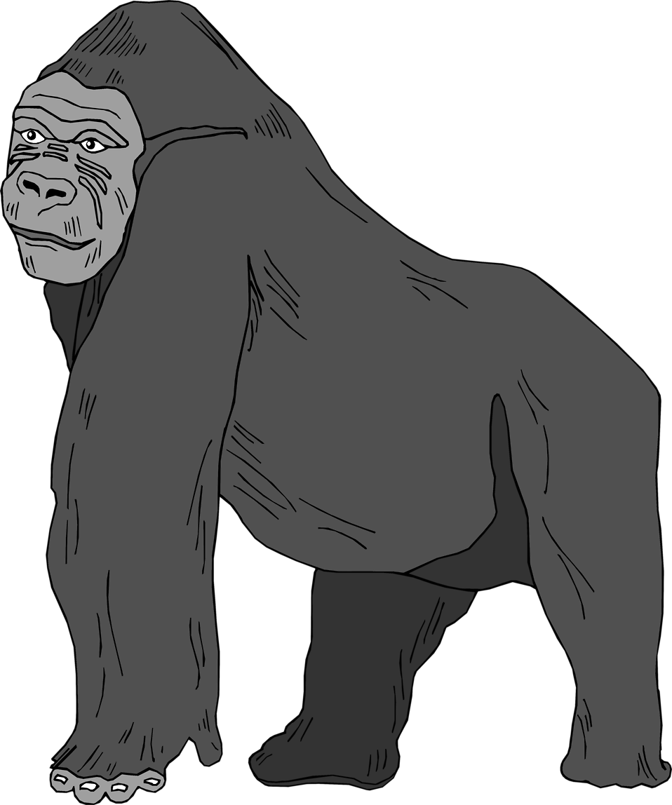 Collection Of High Quality Free Png - Gorilla Clipart No Background Transparent Png (958x1148), Png Download