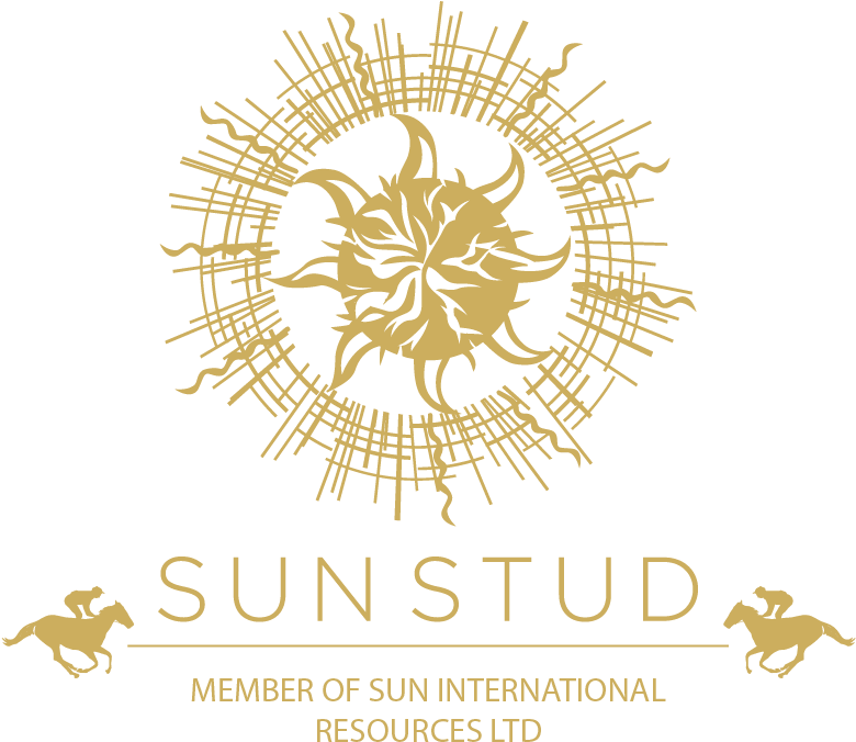 Suncity Group Manila Clipart (779x683), Png Download