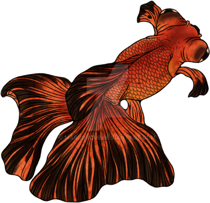 Telescope For Sale - Illustration Clipart (947x843), Png Download