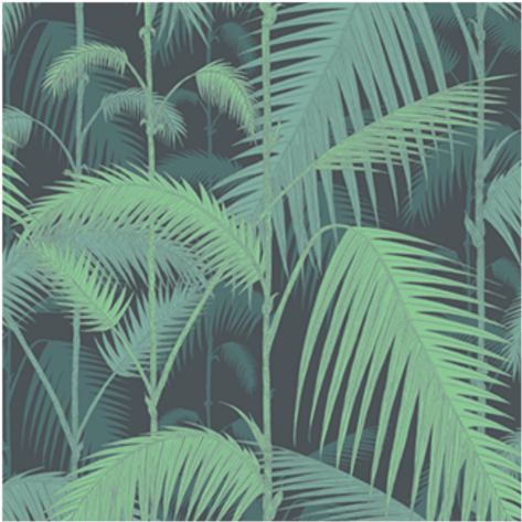Palm Jungle Wallpaper - Palm Jungle 95 1003 Clipart (600x600), Png Download