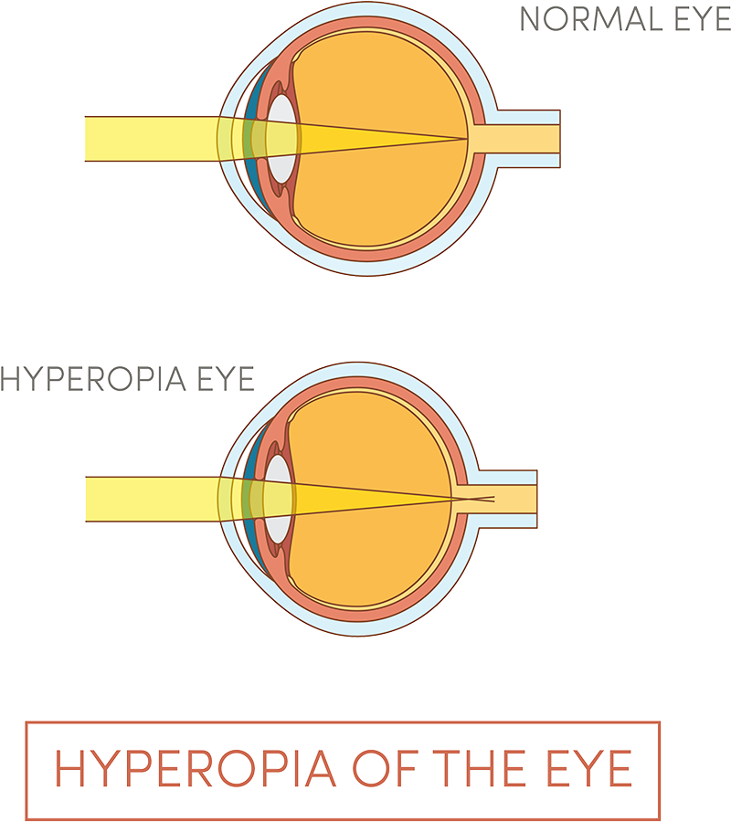 Illustration Of Human Eye - Circle Clipart (800x900), Png Download