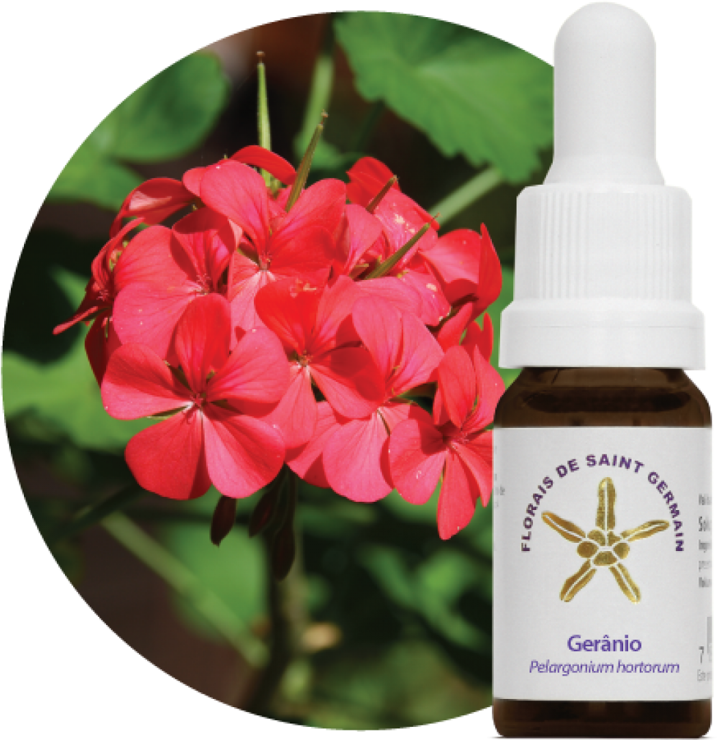 Essência Floral Estoque Clipart (1200x1200), Png Download