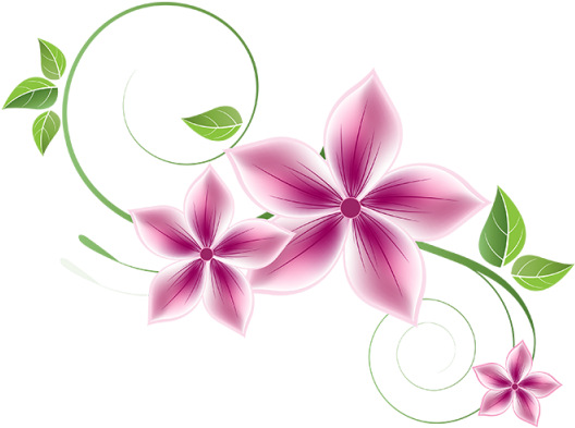 Florals Png Clipart (640x640), Png Download
