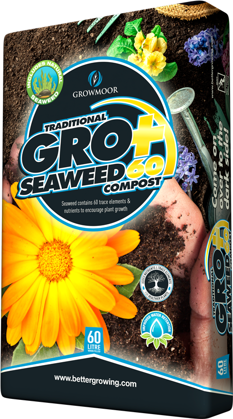Groplus Seaweed60 - Sunflower Clipart (750x895), Png Download
