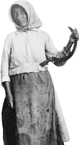 1848 - Monochrome Clipart (566x586), Png Download