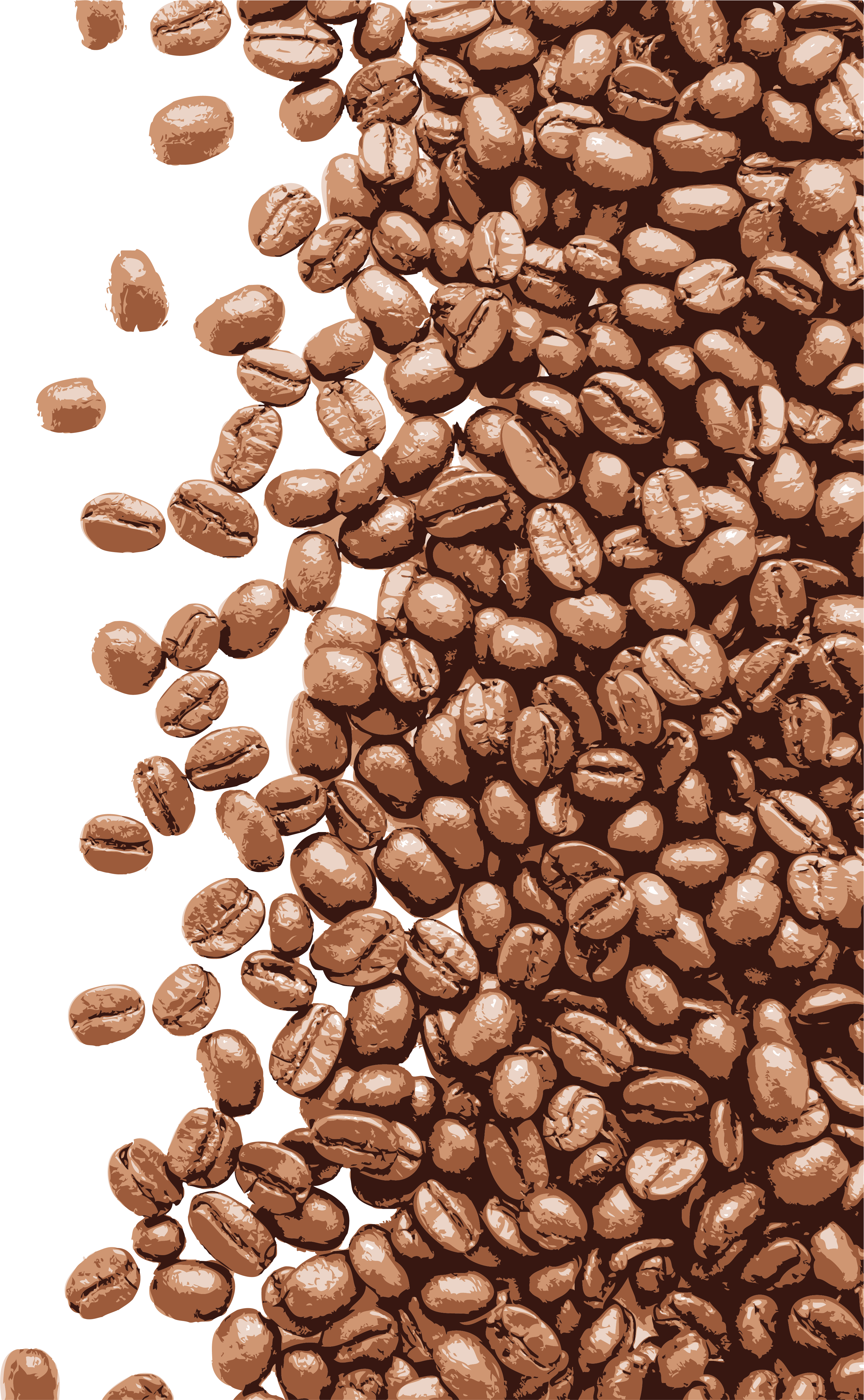 Beans Vector Espresso Bean - Coffee Beans Photoshop Transparent Clipart (3001x4861), Png Download