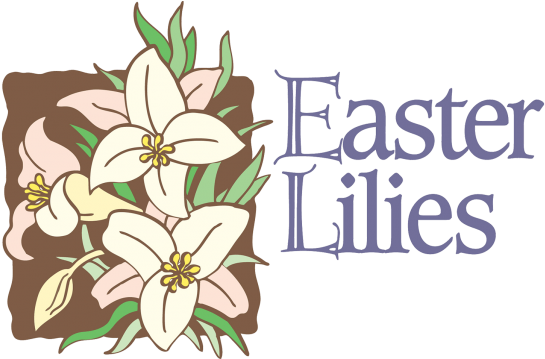 News And Events - African Daisy Clipart (870x470), Png Download