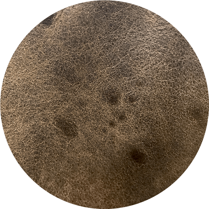 Tick Bite On Leather Clipart (900x900), Png Download