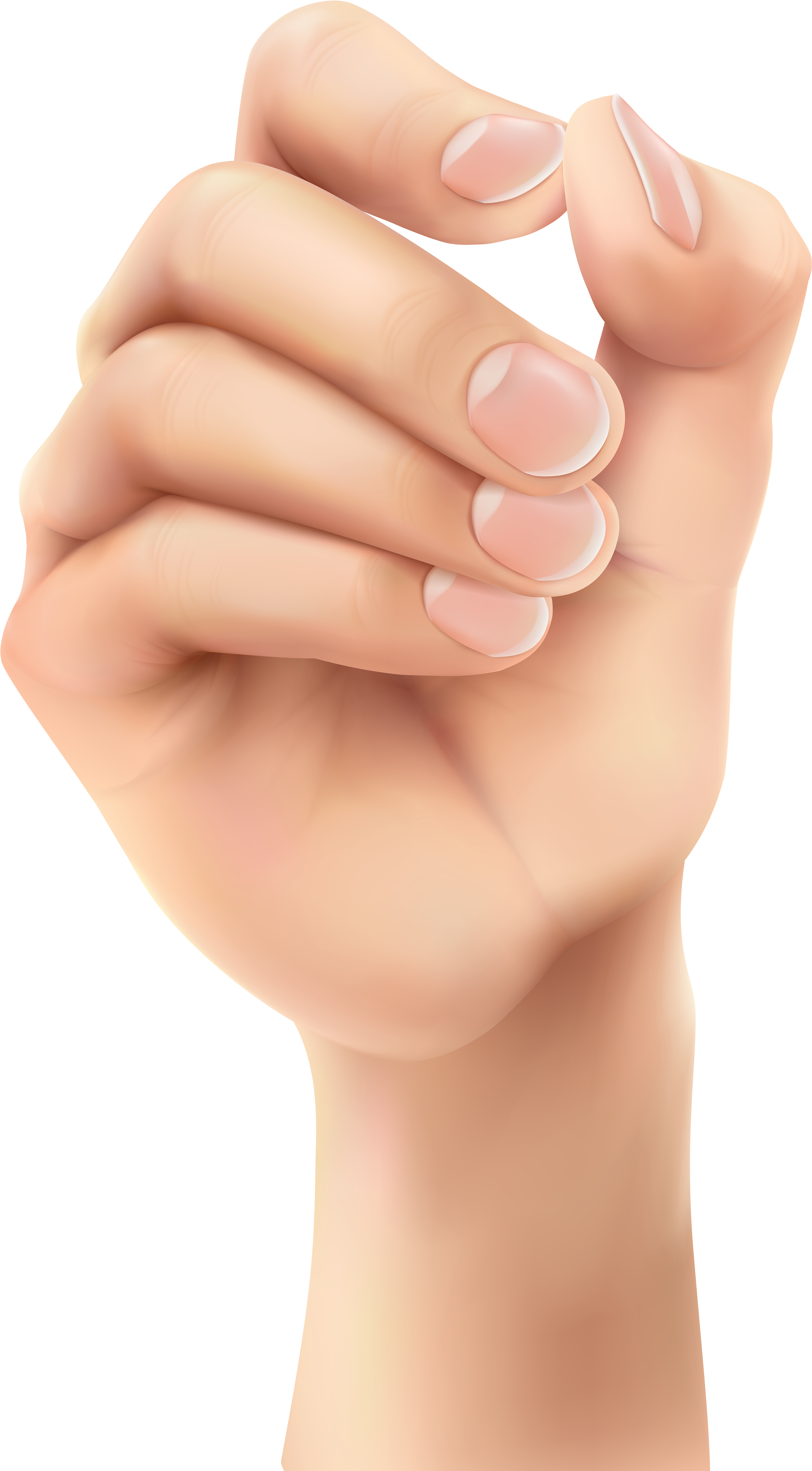 Free Png Download Hand Png Clipart Png Photo Png Images - Transparent Baby Hand Png (481x828), Png Download