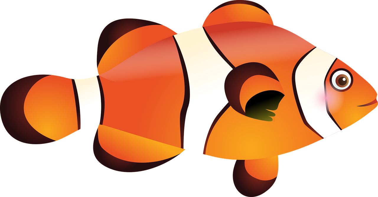 Fish Tropical Fish Sea Nemo Png Image - Best Drawings Of Fish Clipart (1280x668), Png Download