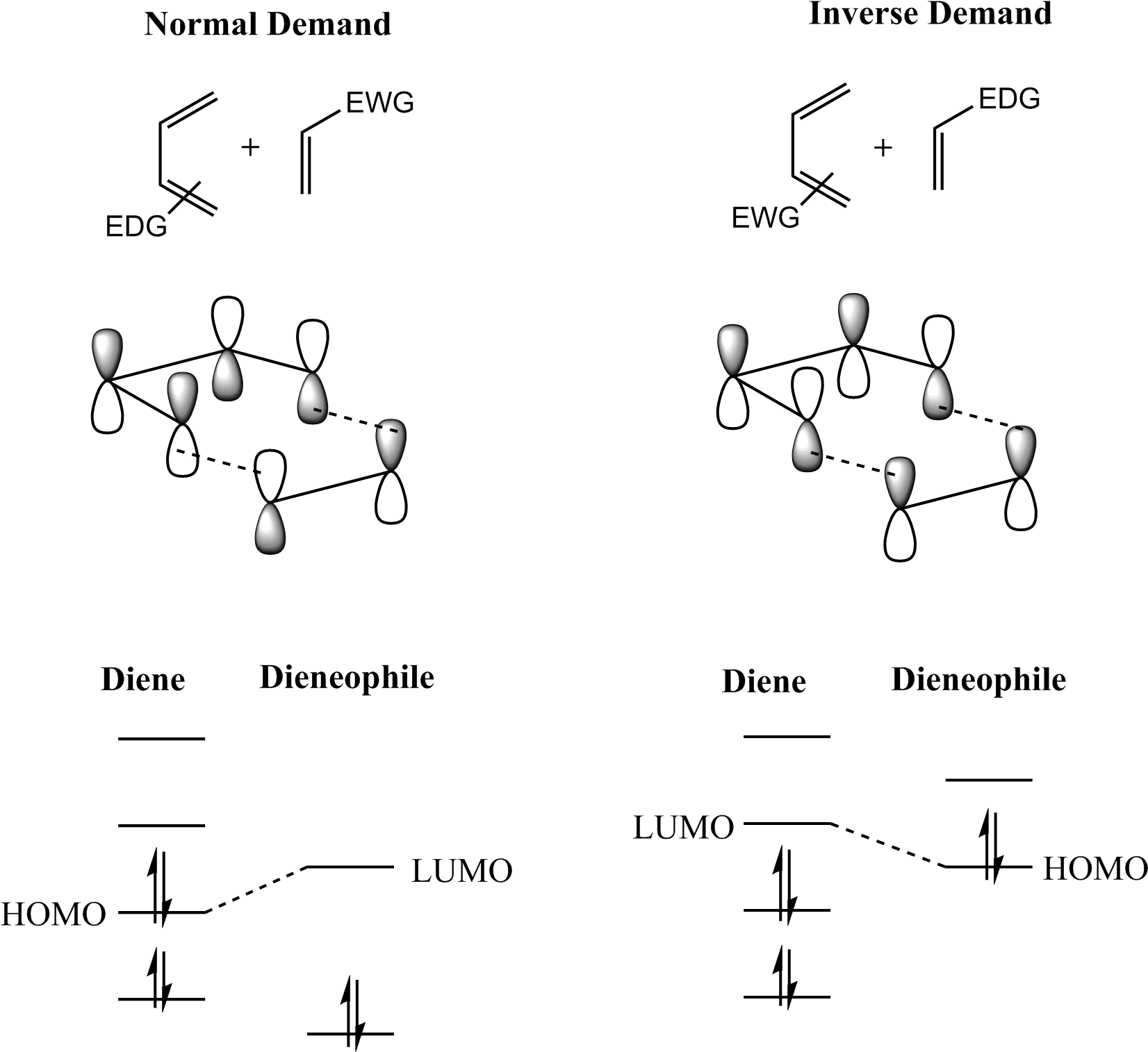 Fmo Of Diels-alder Reaction - Diels Alder Reaction Clipart (1652x1515), Png Download