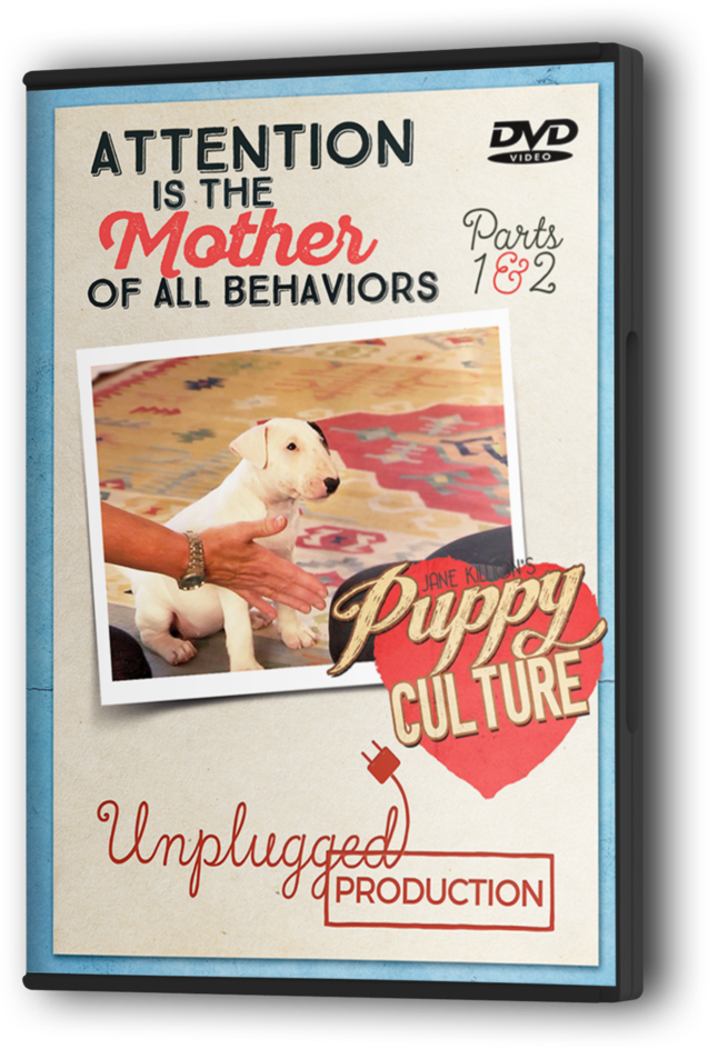 Demand To Win Puppies - Flyer Clipart (689x1024), Png Download