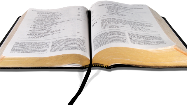 Bible Clipart Transparent Background - Open Bible No Background - Png Download (640x480), Png Download