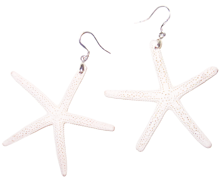 White Sugar Starfish Earrings - Earrings Clipart (732x592), Png Download