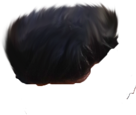 Hair Png ➤ Download - Animal Clipart (679x659), Png Download