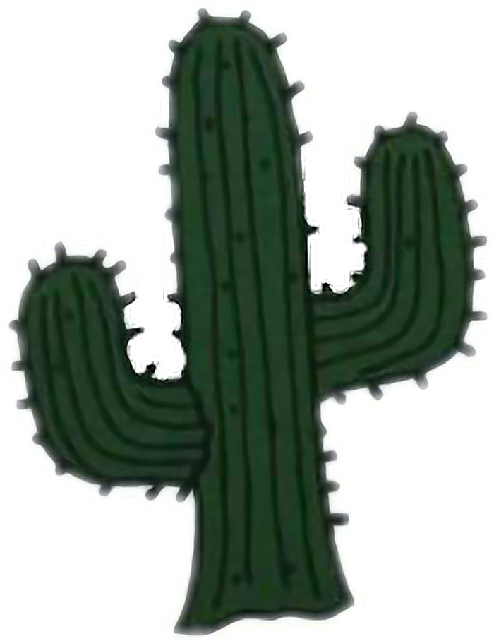 Cactus Clipart San Pedro - San Pedro Cactus - Png Download (700x908), Png Download