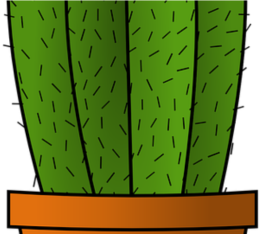 Cactus Clipart (640x480), Png Download