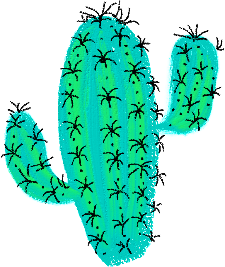 Green Drawing Cactus - Prickly Pear Clipart (796x984), Png Download